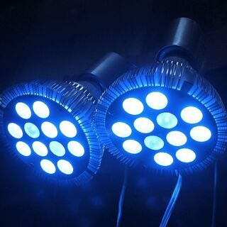 LEDスポットライト 青１０灯　紫外線２灯 海水 植物育成 熱帯魚 鑑賞魚 珊瑚 水草 水槽用 ２個あります。１個　5,000円