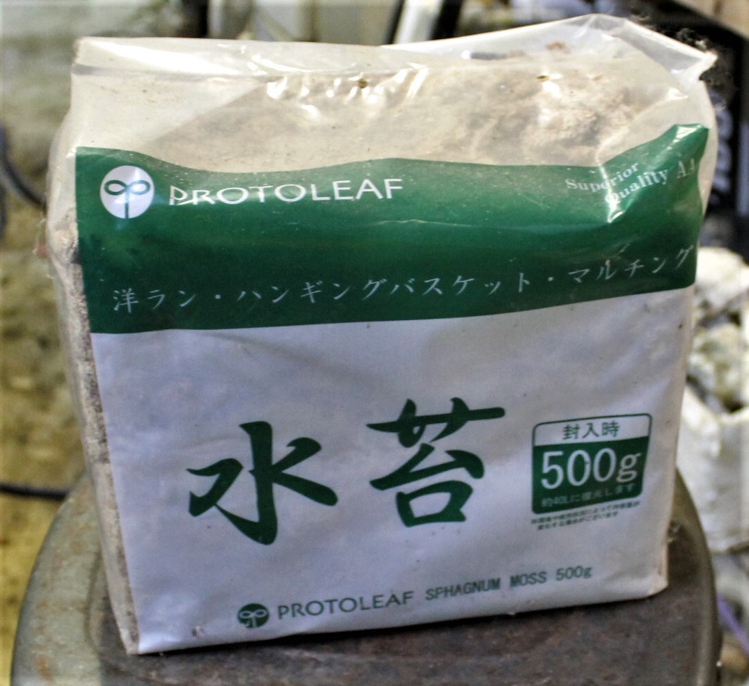 水苔 500ｇ　６００円